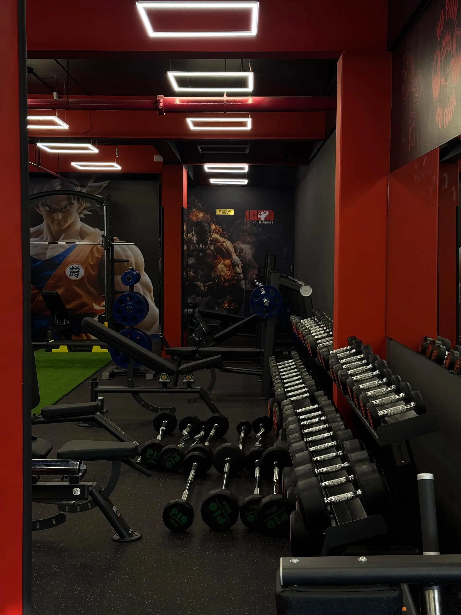 Iron House Fitness – dumbbell rack